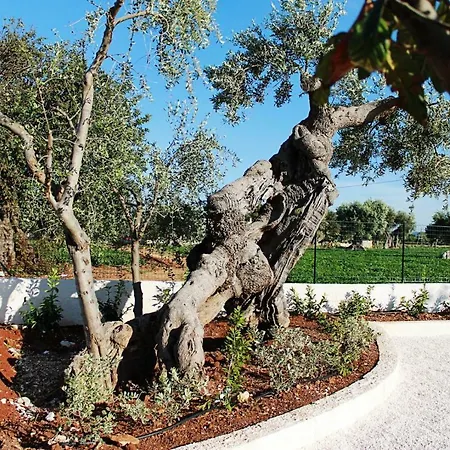 Sissi Holiday home Polignano a Mare